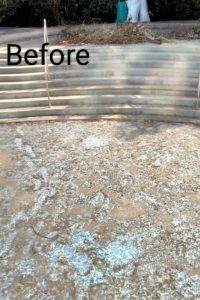 WhatsApp Image 2025-11-02 at 13.46.27_ca208651